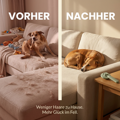 Pflege-Duo – Fellbürste & Schnüffelteppich