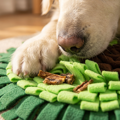 Schnüffelteppich für Hunde – Beschäftigung & Stressabbau